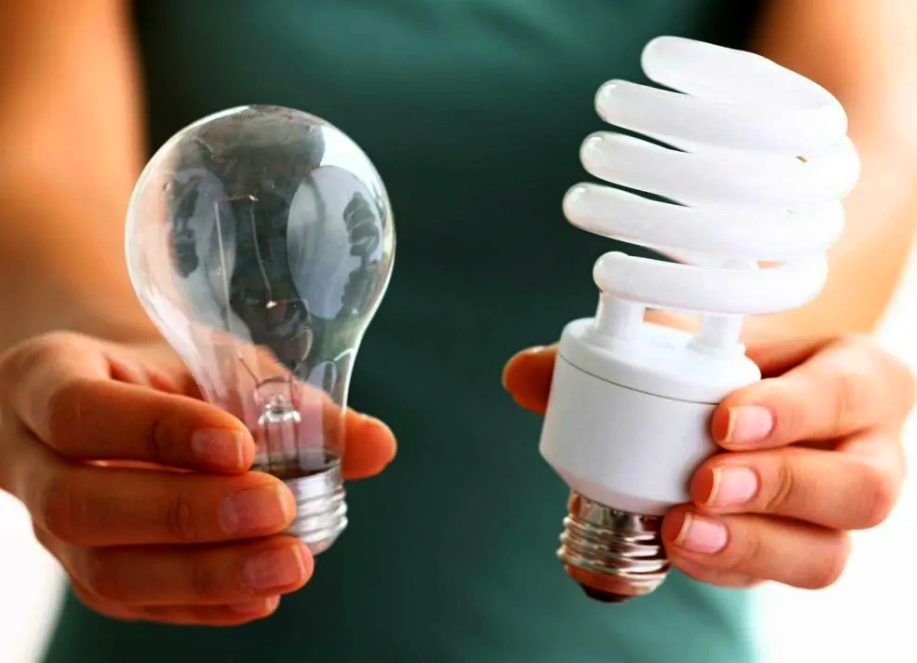 Две лампочки: энергосберегающая и обычная